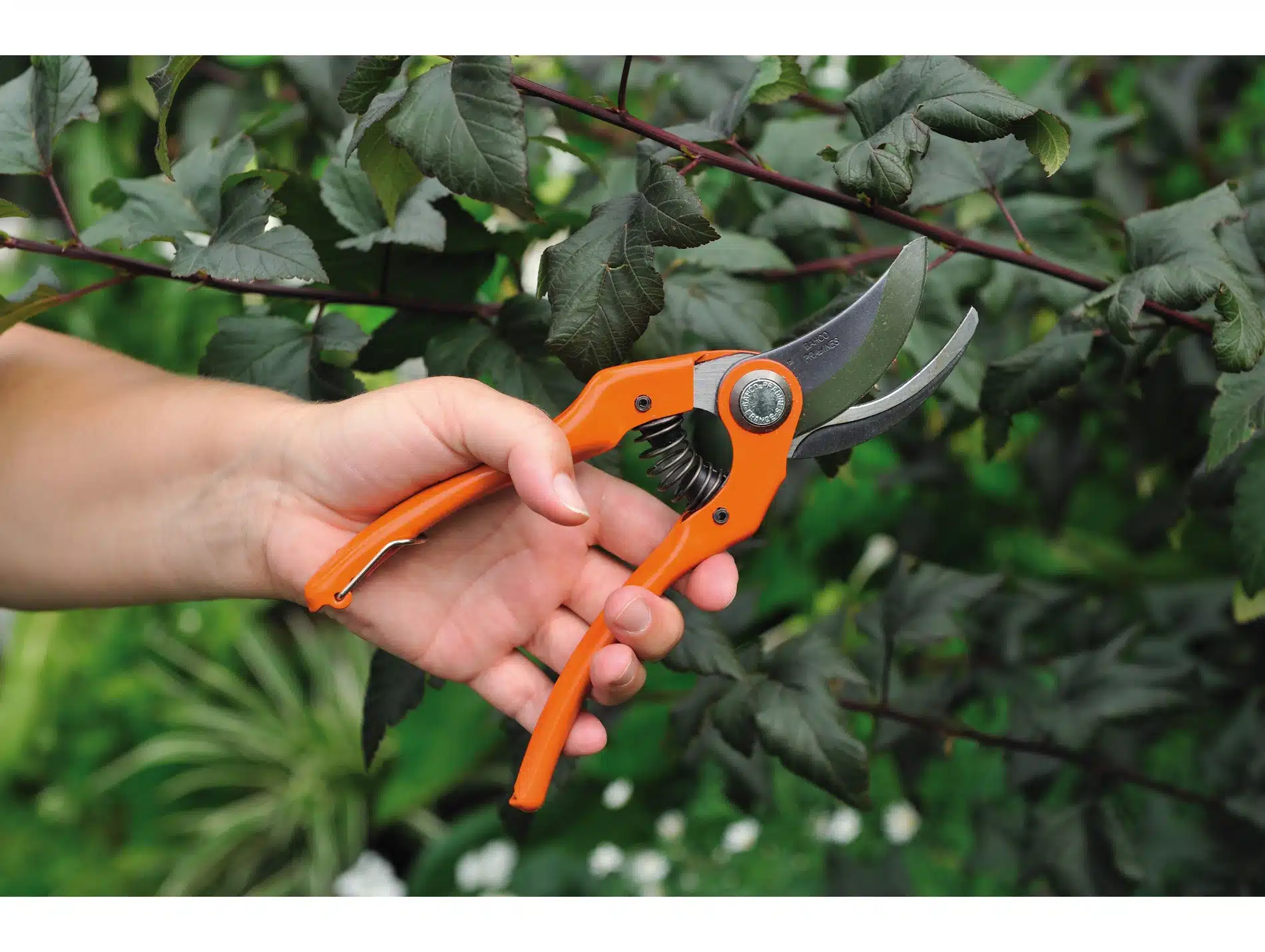 3 outils de jardinage à avoir absolument si vous possédez un jardin